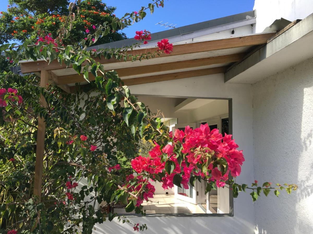 Ancella'S Garden Apartment-Beach-5Min Drive, 1 Hr Montego Bay, 25 Mins Ocho Rios, Continental Breakfast Runaway Bay Exteriör bild