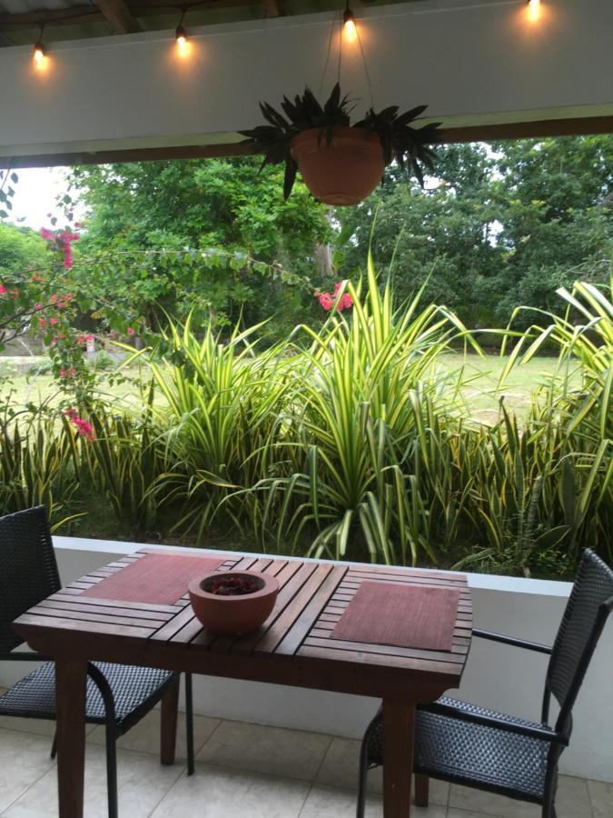 Ancella'S Garden Apartment-Beach-5Min Drive, 1 Hr Montego Bay, 25 Mins Ocho Rios, Continental Breakfast Runaway Bay Exteriör bild
