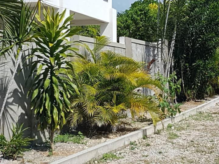 Ancella'S Garden Apartment-Beach-5Min Drive, 1 Hr Montego Bay, 25 Mins Ocho Rios, Continental Breakfast Runaway Bay Exteriör bild