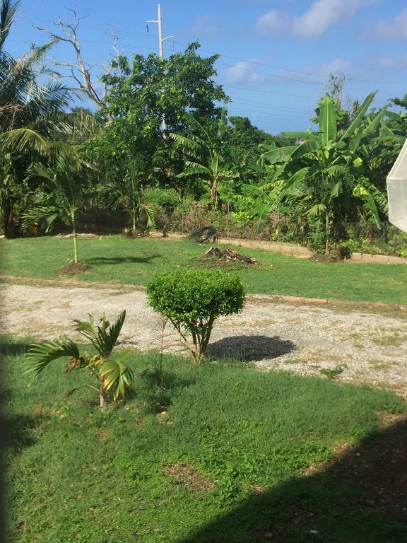Ancella'S Garden Apartment-Beach-5Min Drive, 1 Hr Montego Bay, 25 Mins Ocho Rios, Continental Breakfast Runaway Bay Exteriör bild